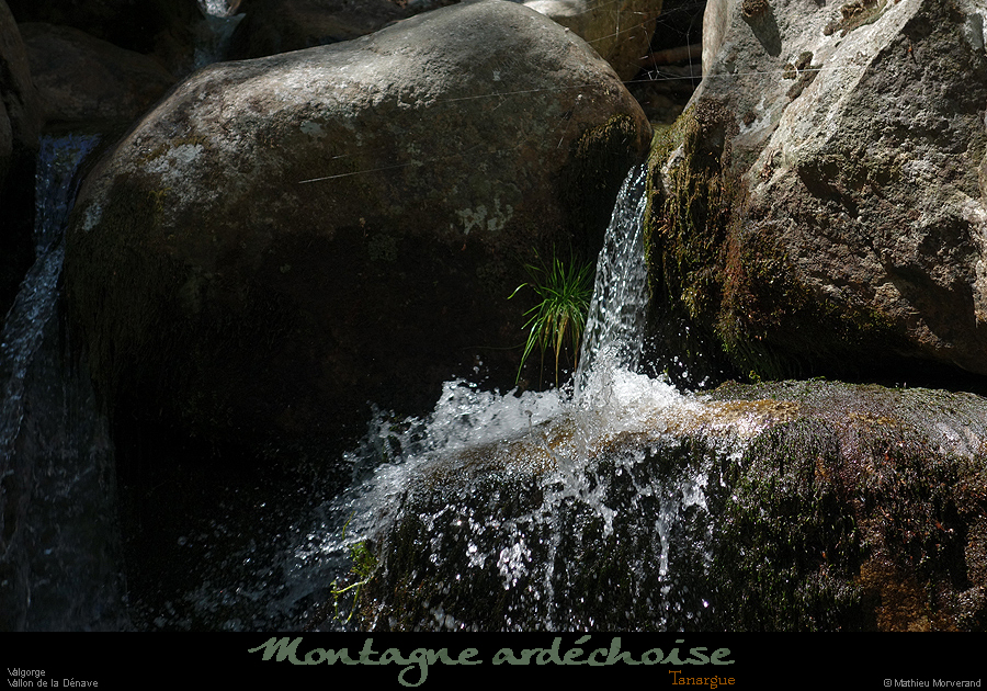 20200725_denavebasse26