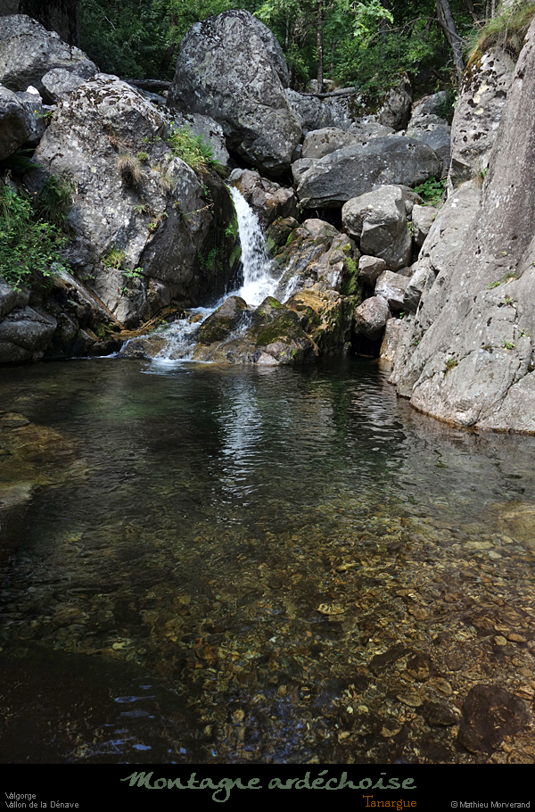 20200725_denavebasse44