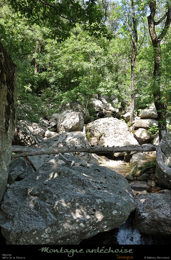 20200725_denavebasse46