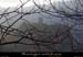20030105_chateaudesmonlaurparlenw_1
