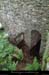 20150519_mayres_ptchambonnet