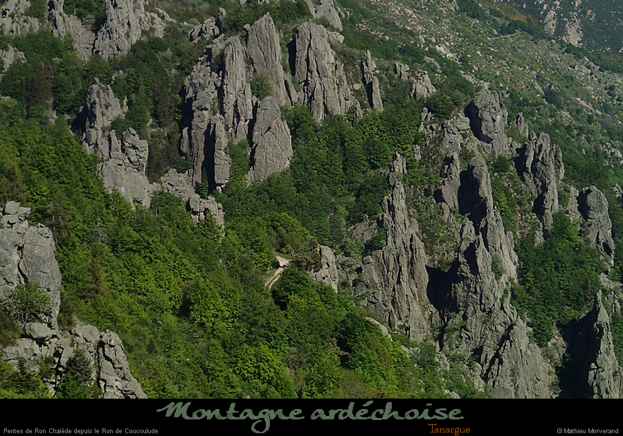 20150518_ronchaledederoncouloulude2