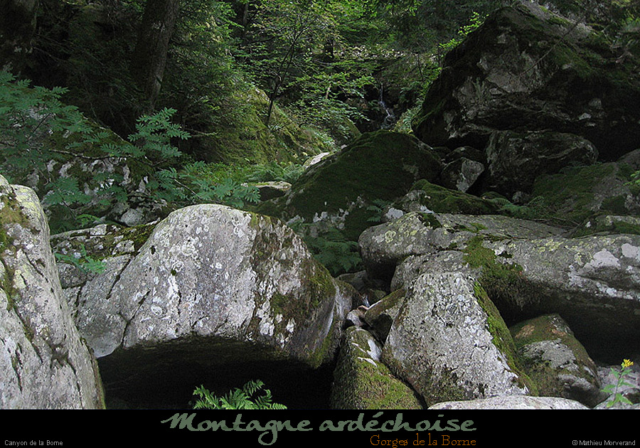 20070813_050