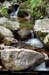 20020805_canyonborne_7