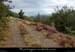 20210904_chamier_pistechalendas