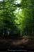 20120620_burzet_boisnoirsslesucdupal