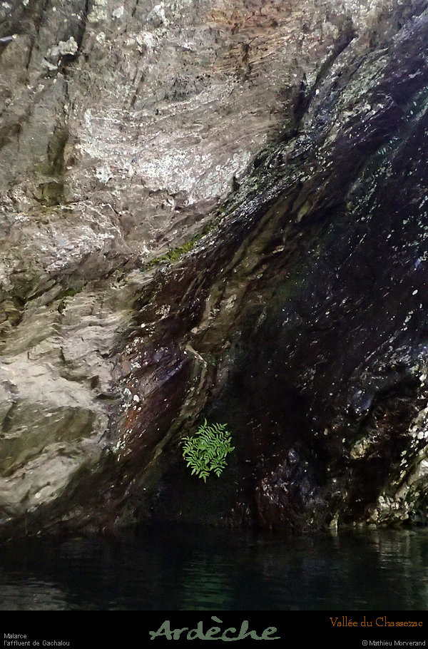 20181101_078