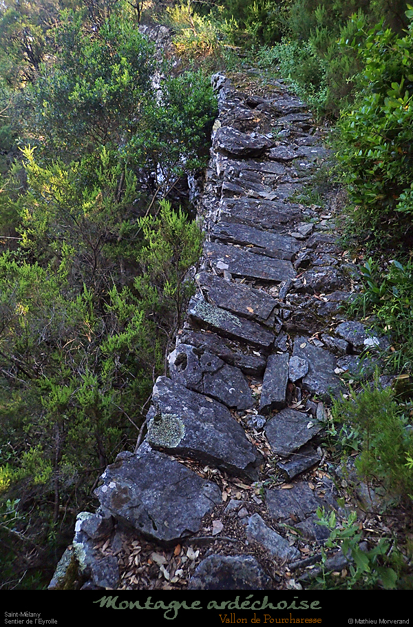 20200525_219