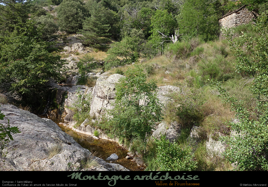20200725_pourcharesseht17