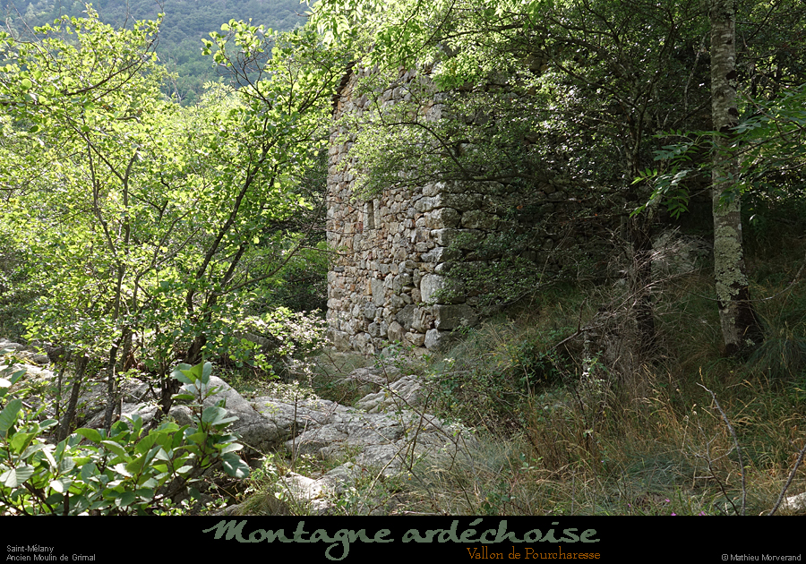 20200725_pourcharessemoulingrimal1