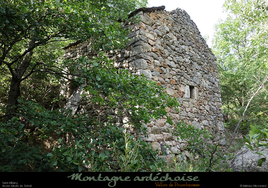 20200725_pourcharessemoulingrimal4