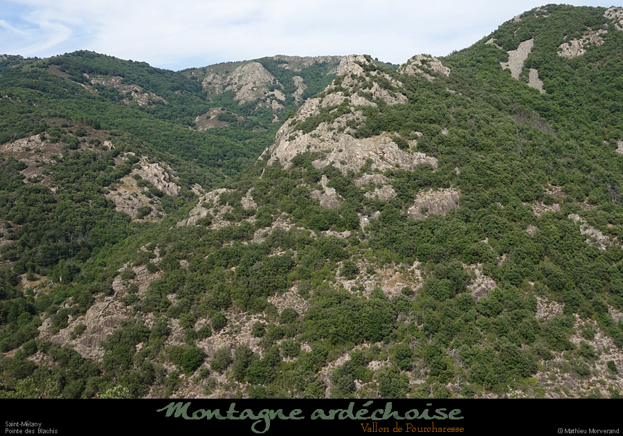 20200725_rocheblachis1
