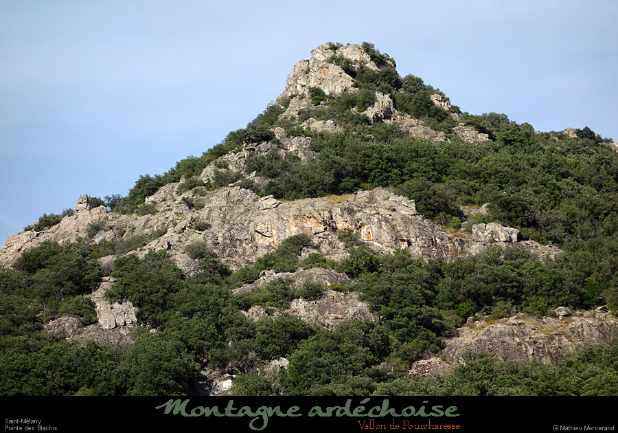 20200725_rocheblachis3