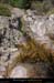 20200725_pourcharesseubac5