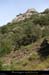 20200725_rocheblachis4