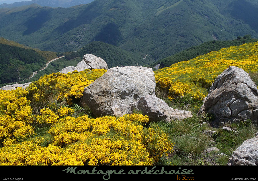 20120620_leroux_pointedesangles1