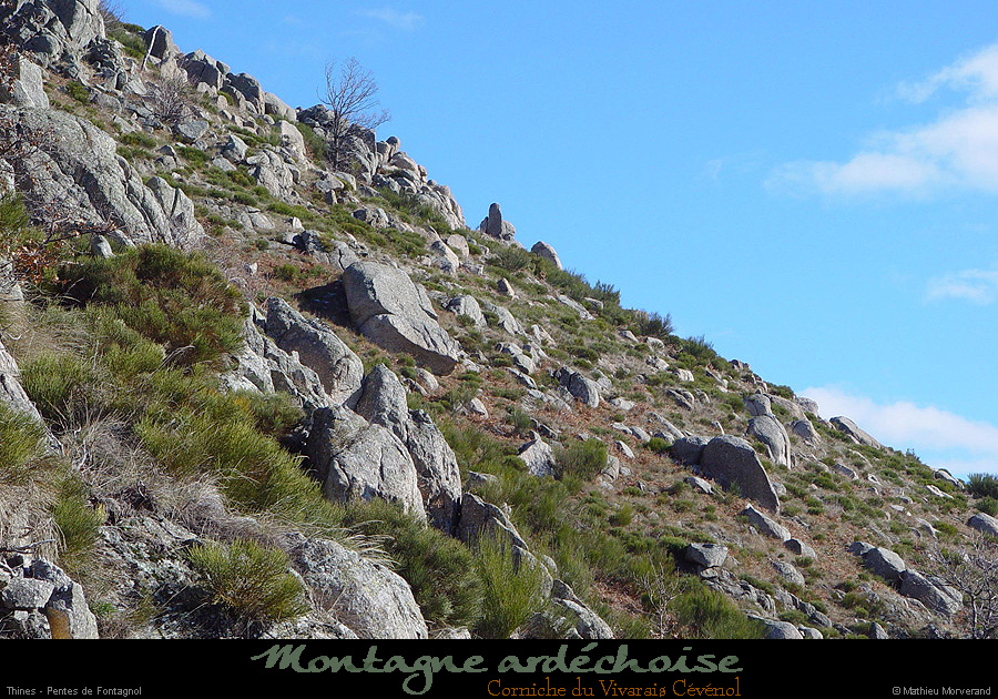 20030208_vivaraiscevenol_flancest