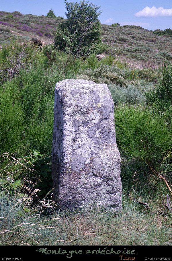20100704_356