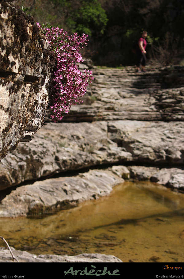 20190506_vallongournier07