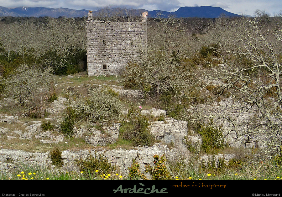 20150328_enclavegrospierres_gras2
