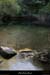 20130922_grospierres_fontvive02