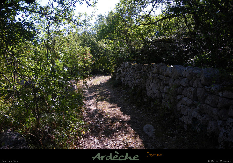 20100829_joyeuse_rancdesbiols