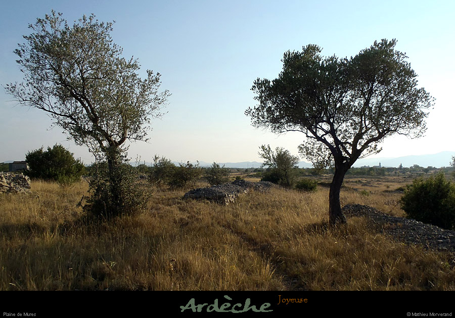 20120908_joyeuse_plainedemures1