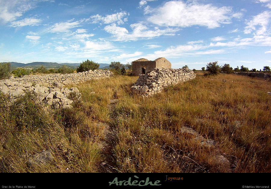 20130825_joyeuse_grasdelaplainedemures1