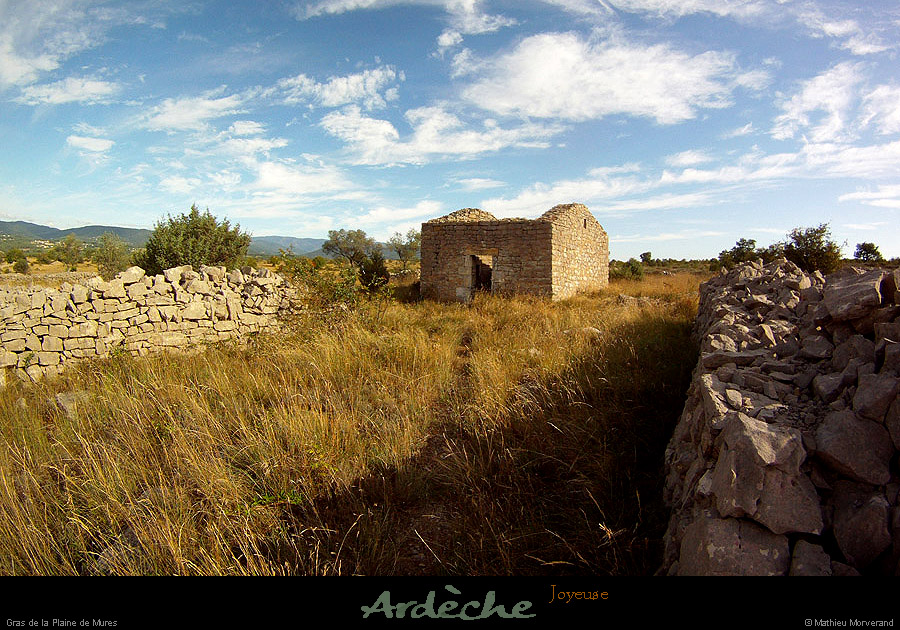 20130825_joyeuse_grasdelaplainedemures2