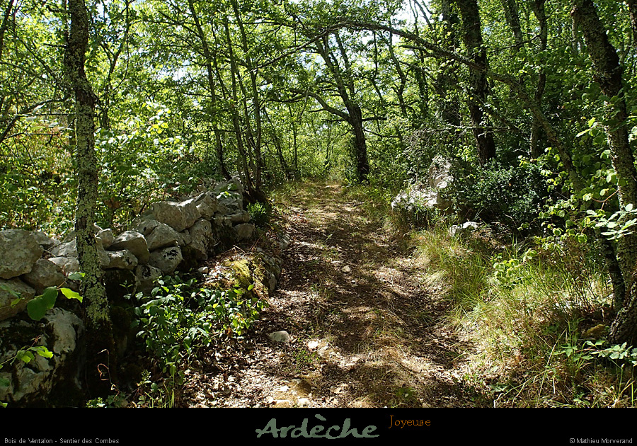 20150809_04
