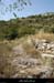 20120819_joyeuse_descentedegarel