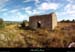 20130825_joyeuse_grasdelaplainedemures3