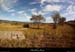 20130825_joyeuse_grasdelaplainedemures4