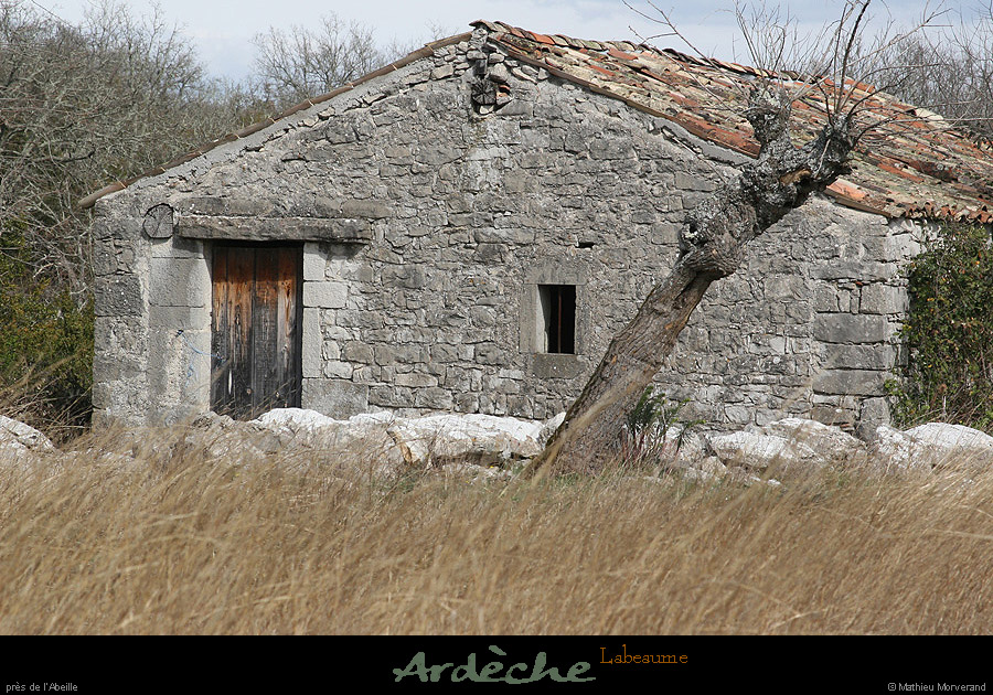 20090329_labeaume_labeille_maisonaunord