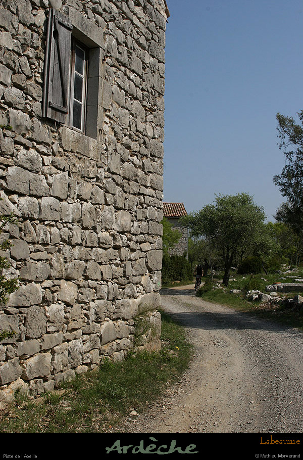 20100425_boislabeaume_pisteabeille