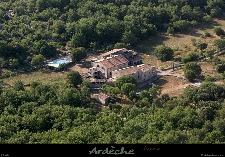 20100711_labeaume_abeille_13