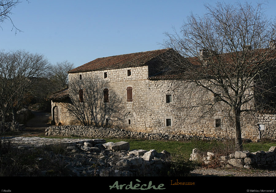 20101204_labeaume_abeille1