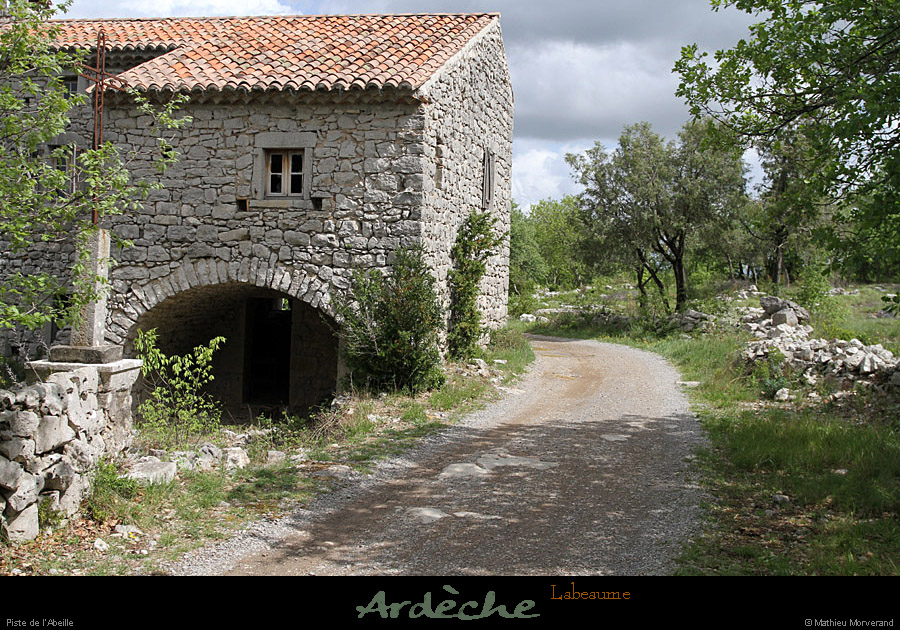 20120429_labeaume_pistedelabeille2