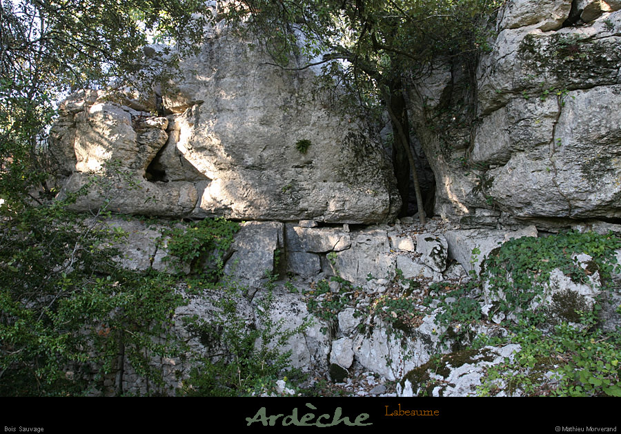 20100919_labeaume_boissauvage09