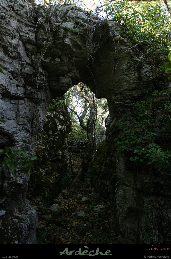 20100919_labeaume_boissauvage11