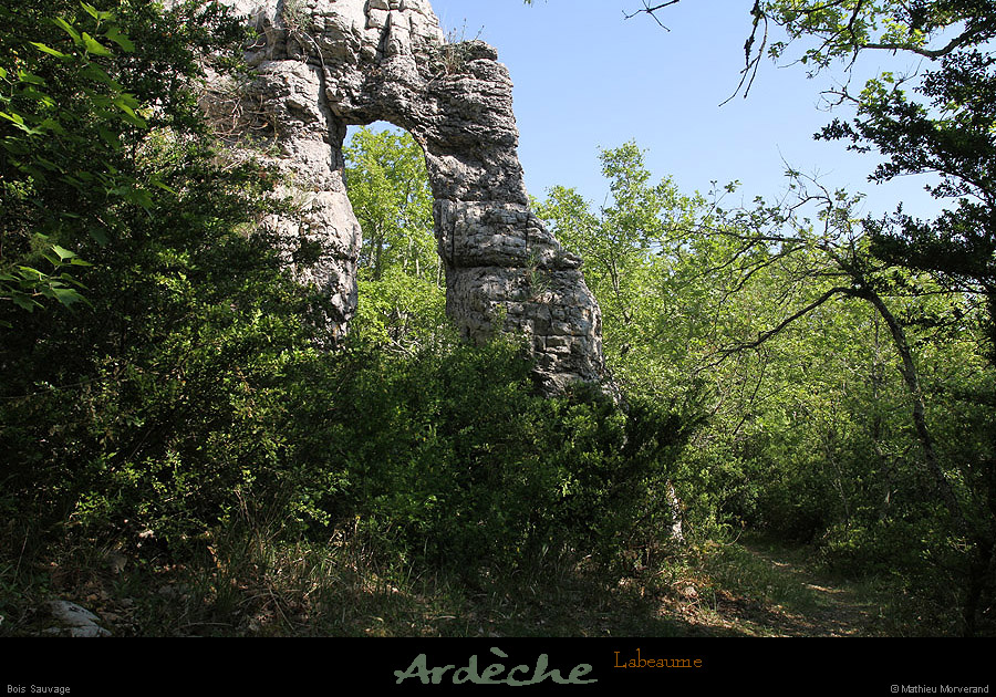 20110417_labeaume_boissauvage5