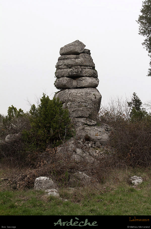 20130406_labeaume_boissauvage