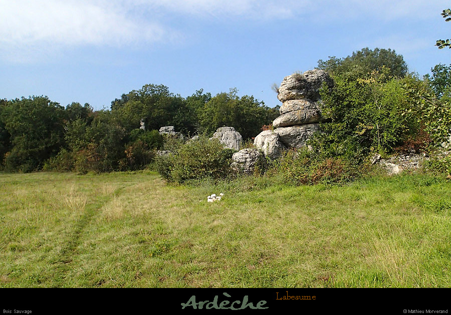 20141004_labeaume_boissauvage