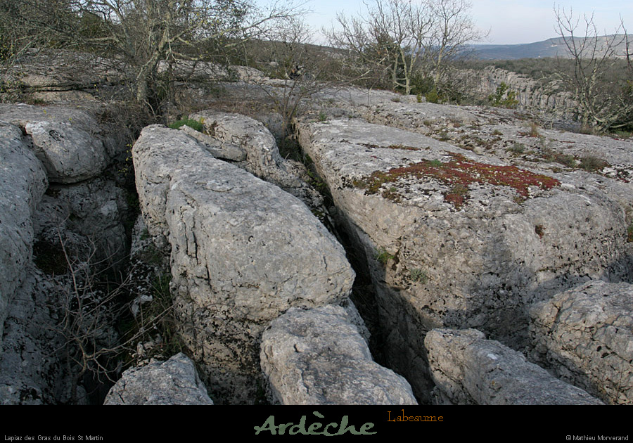 20070317_labeaume_grasdeboisstmartin5