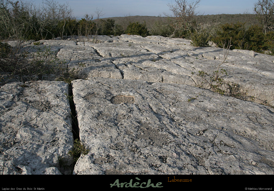 20070317_labeaume_grasdeboisstmartin6
