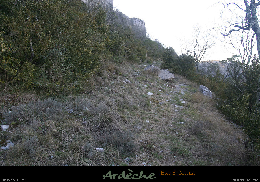 20090315_passageboisstmartin_sentier2