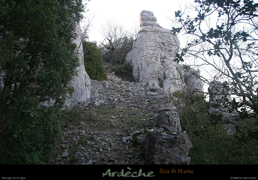 20090315_passageboisstmartin_sentier8