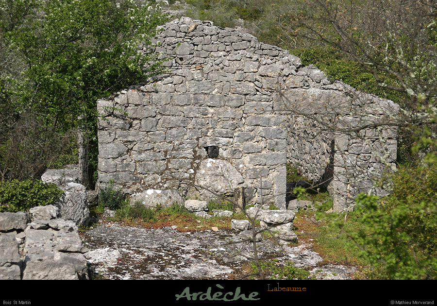20130416_labeaume_boisstmartin_ruine