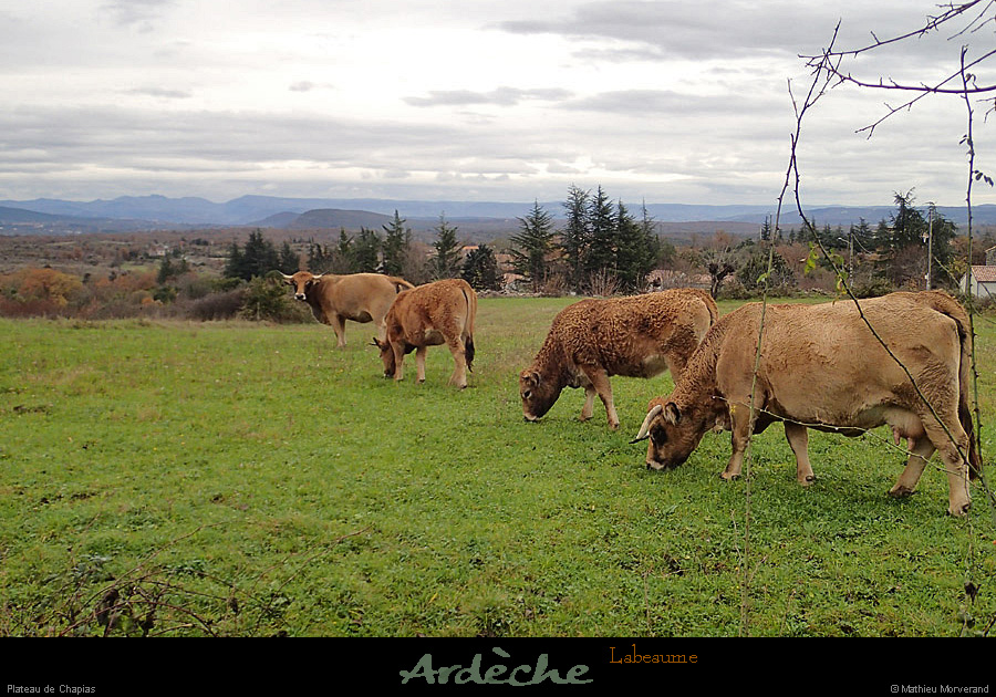 20141205_labeaume_chapias