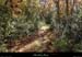 20131207_labeaume_chapias_chemindegabiane